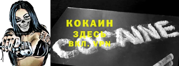 индика Баксан