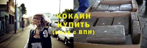 хмурый Белокуриха