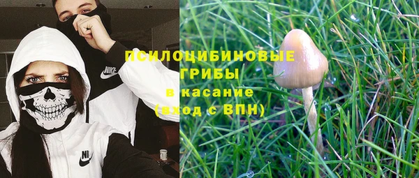индика Баксан