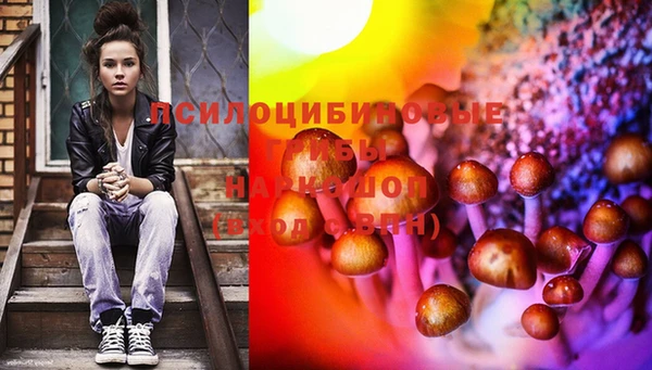 индика Баксан