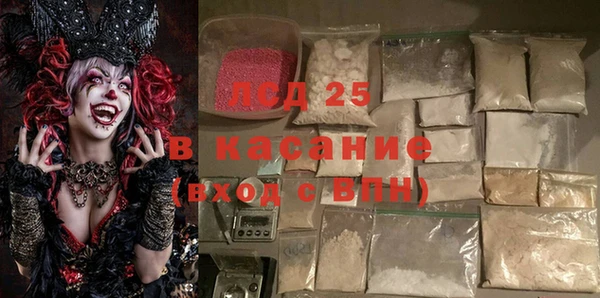 хмурый Белокуриха