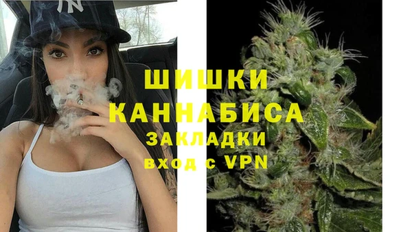 индика Баксан