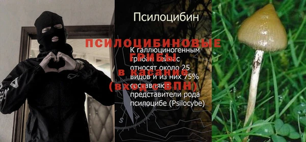 MDMA Premium VHQ Беломорск
